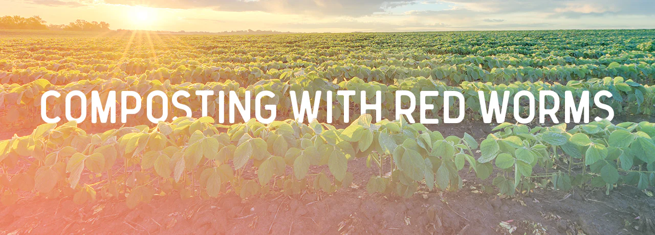 Vermi Compost Banner Image